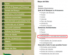 Pagina-bosque-Primavera.png